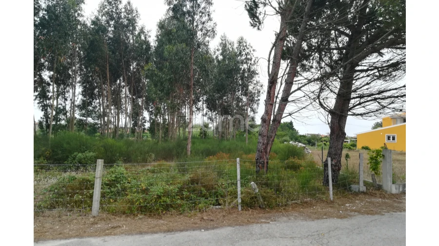 Terreno para Venda em Tocha Foto 5