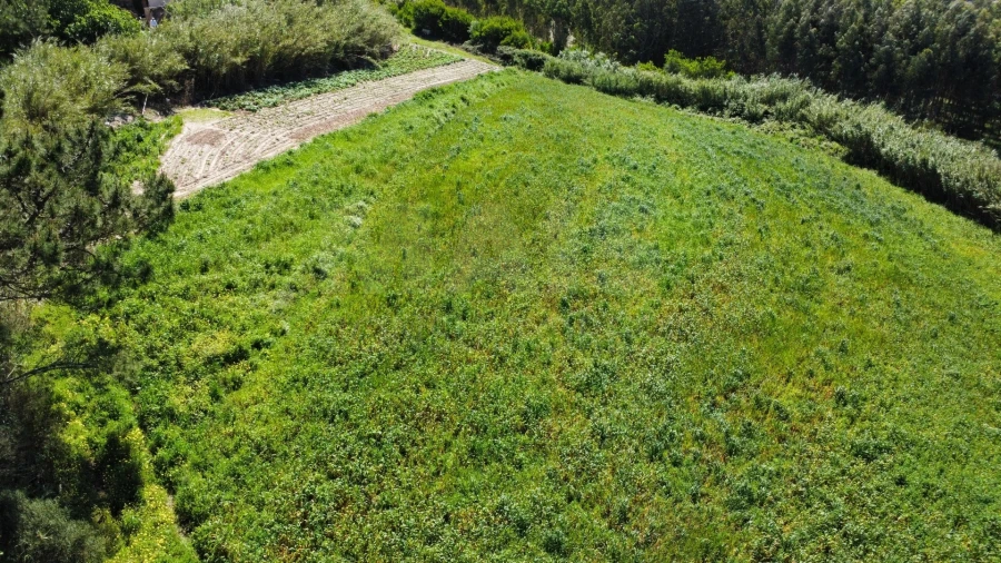 Moradia T4 para Venda em Amoreira Foto 11