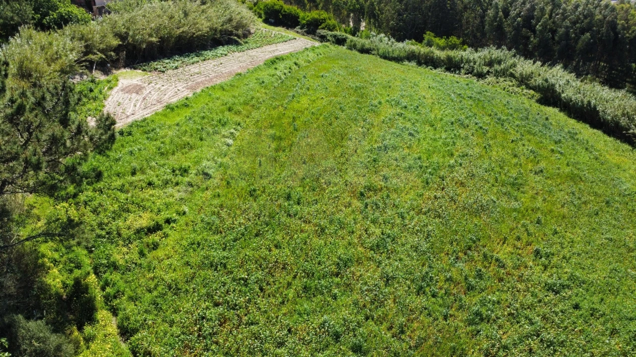 Moradia T4 para Venda em Amoreira Foto 12