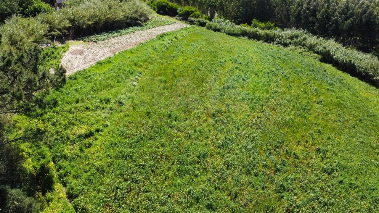 Moradia T4 para Venda em Amoreira Foto 11