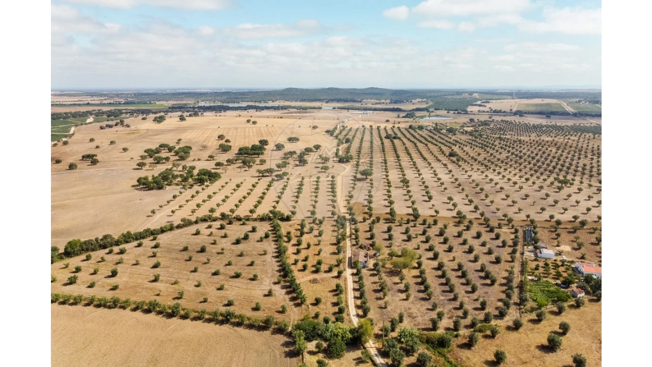 Moradia T5 para Venda em São Gregório e Santa Justa Foto 44
