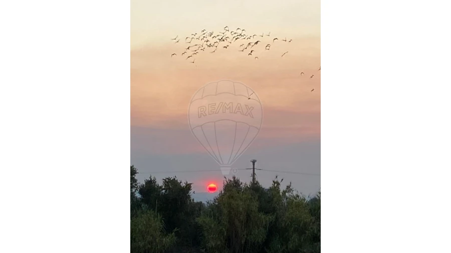 Moradia T5 para Venda em São Gregório e Santa Justa Foto 49