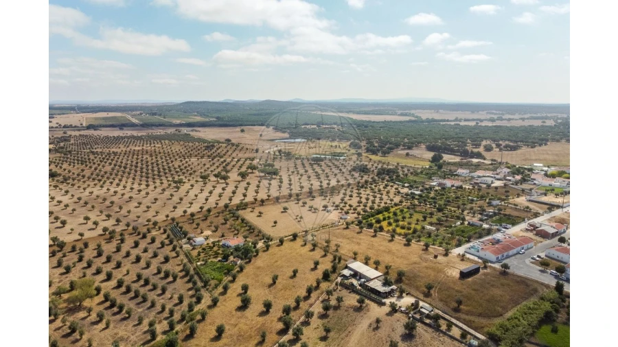 Moradia T5 para Venda em São Gregório e Santa Justa Foto 45