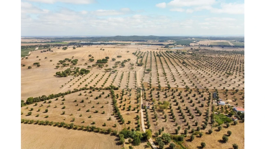 Moradia T5 para Venda em São Gregório e Santa Justa Foto 44