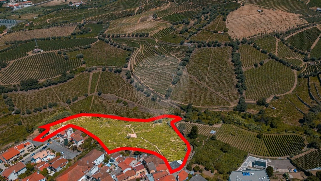 Terreno para Venda em Peso da Régua e Godim Foto 11