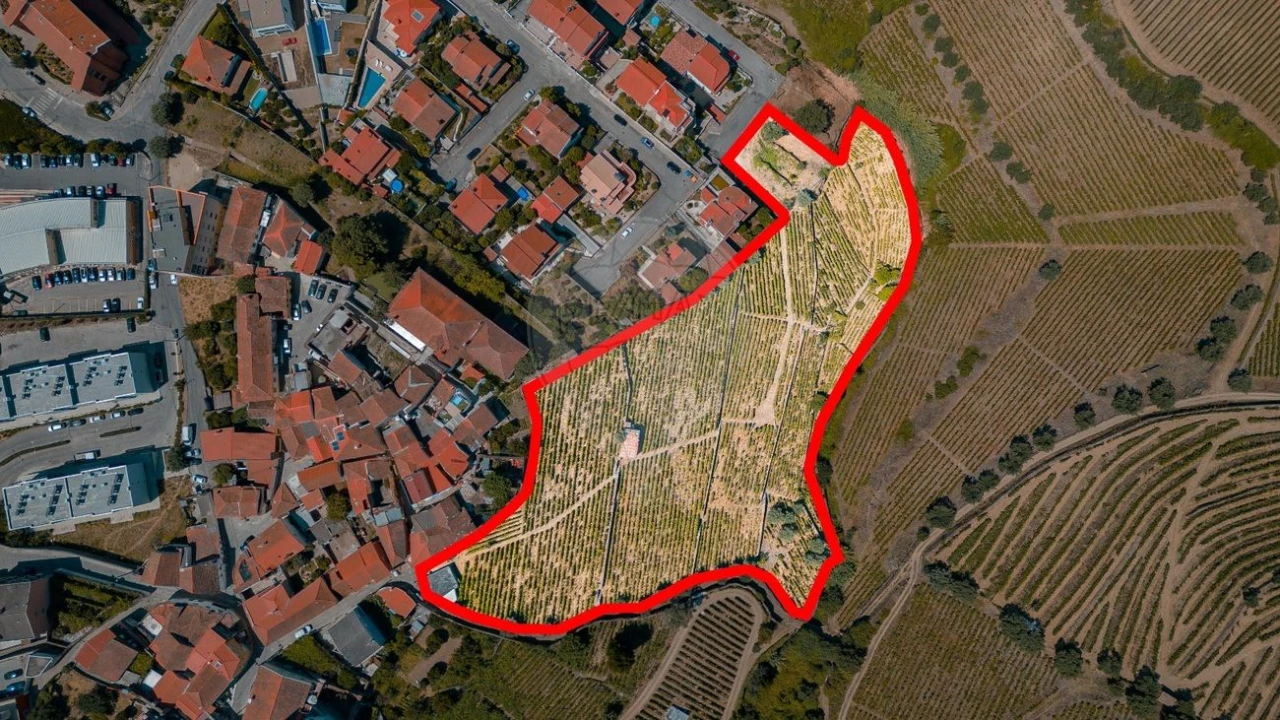 Terreno para Venda em Peso da Régua e Godim Foto 9