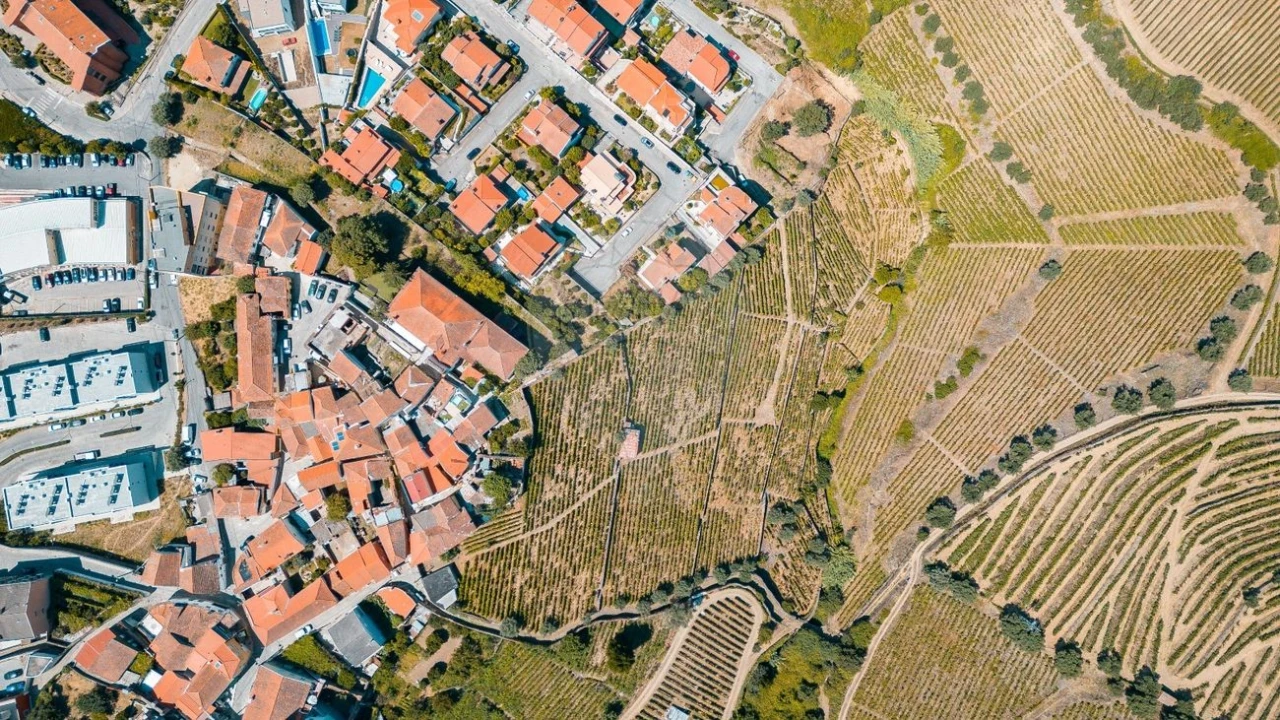 Terreno para Venda em Peso da Régua e Godim Foto 10