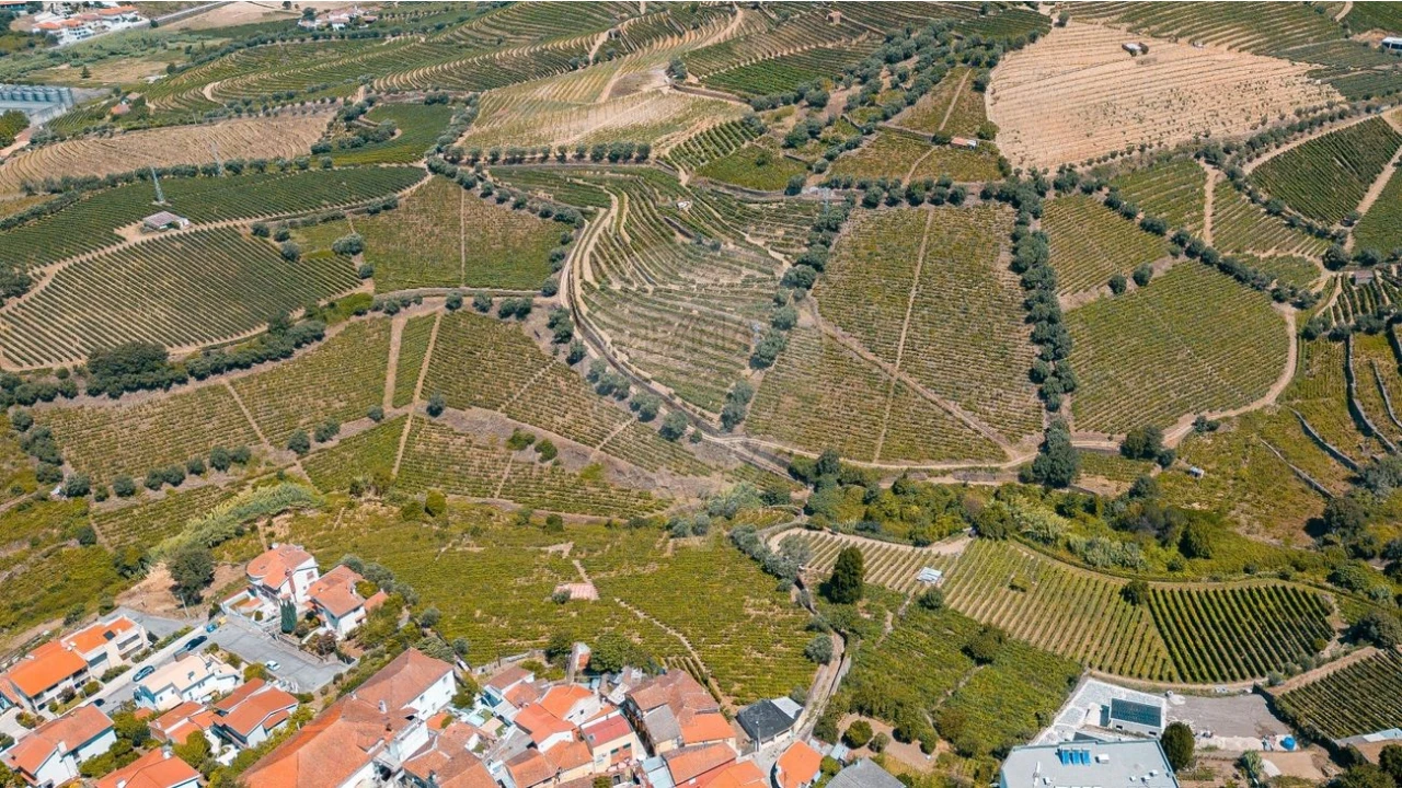 Terreno para Venda em Peso da Régua e Godim Foto 4