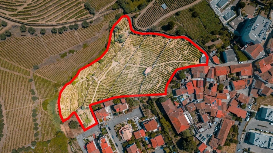 Terreno para Venda em Peso da Régua e Godim Foto 2