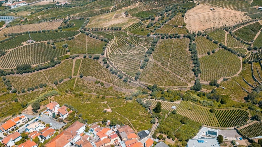 Terreno para Venda em Peso da Régua e Godim Foto 4