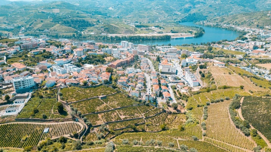 Terreno para Venda em Peso da Régua e Godim Foto 8