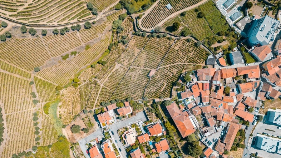 Terreno para Venda em Peso da Régua e Godim Foto 3