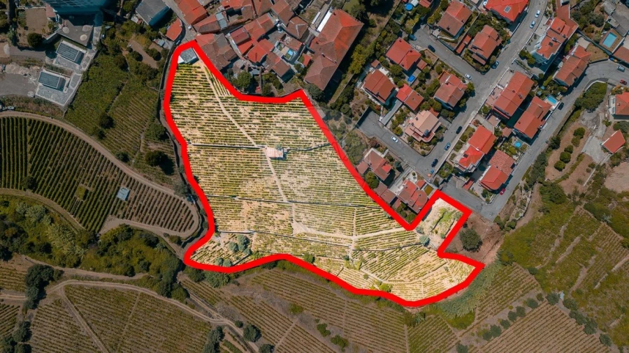 Terreno para Venda em Peso da Régua e Godim Foto 6