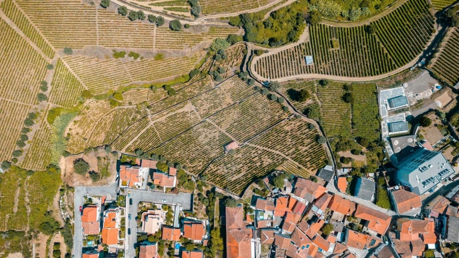 Terreno para Venda em Peso da Régua e Godim Foto 7