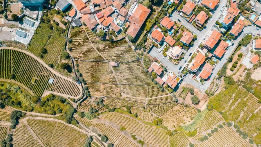 Terreno para Venda em Peso da Régua e Godim Foto 12