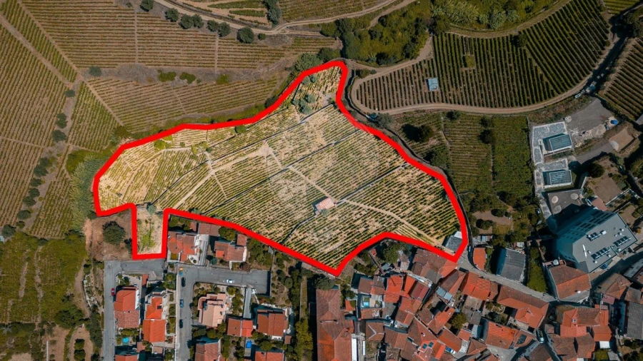 Terreno para Venda em Peso da Régua e Godim Foto 5