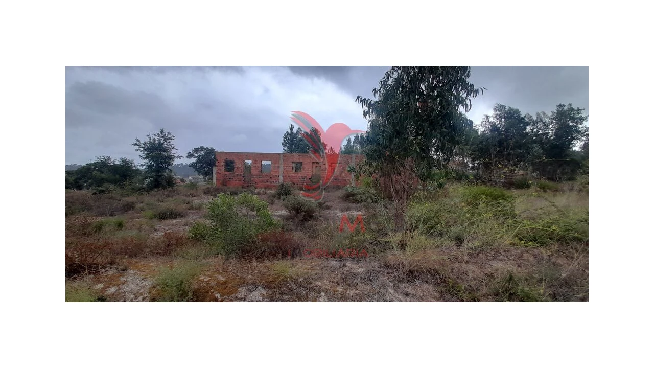 Terreno para Venda em Azambuja Foto 2