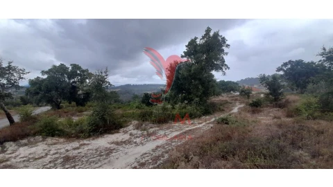 Terreno para Venda em Azambuja