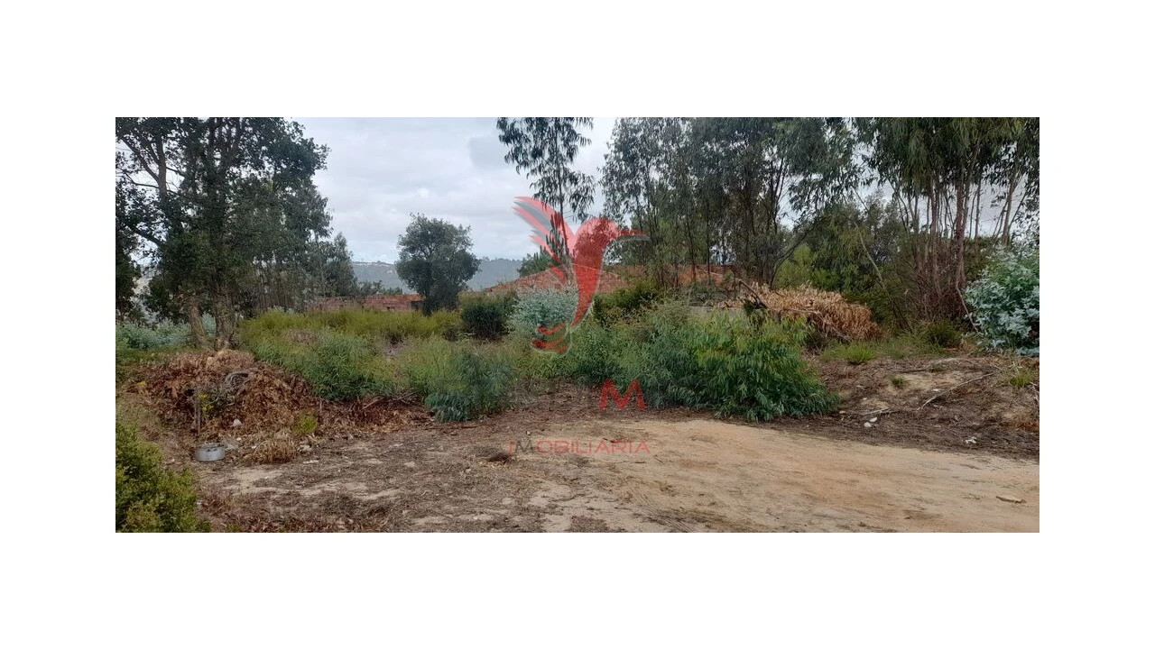 Terreno para Venda em Azambuja Foto 18