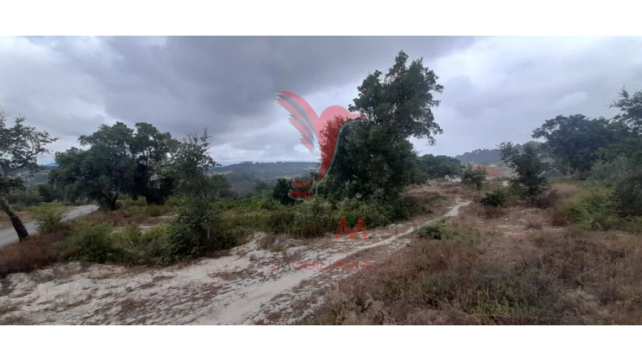 Terreno para Venda em Azambuja Foto 3