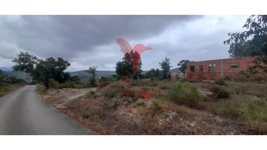 Terreno para Venda em Azambuja Foto 12