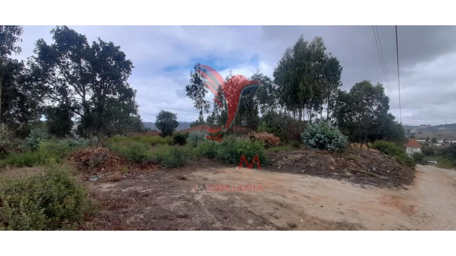 Terreno para Venda em Azambuja Foto 19