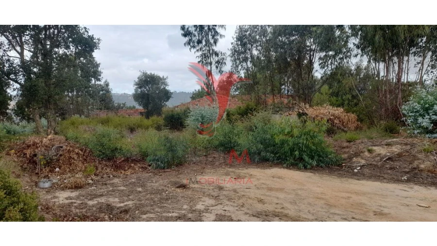Terreno para Venda em Azambuja Foto 10