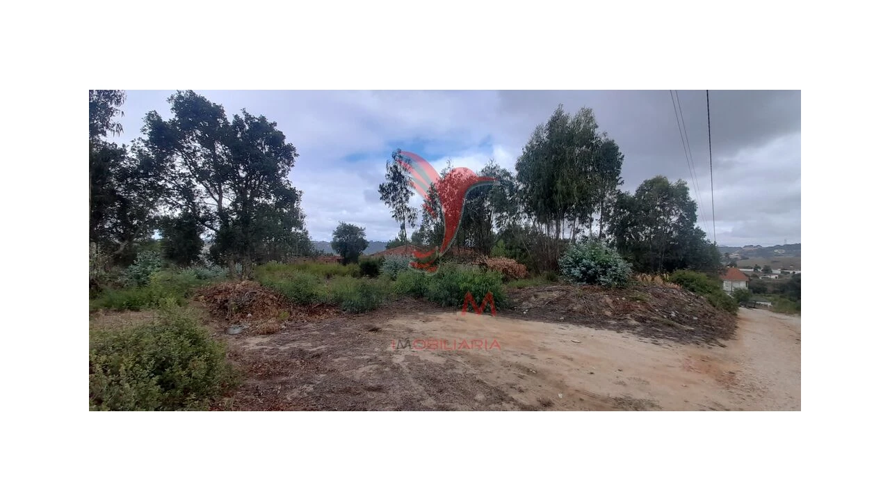 Terreno para Venda em Azambuja Foto 11