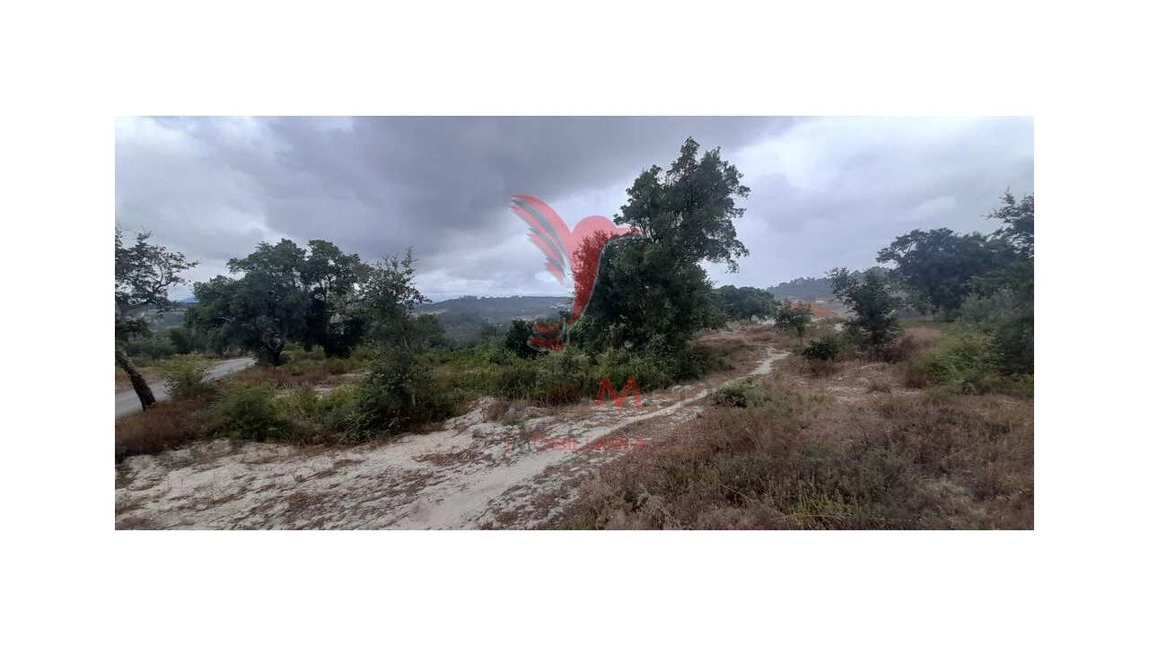 Terreno para Venda em Azambuja Foto 14