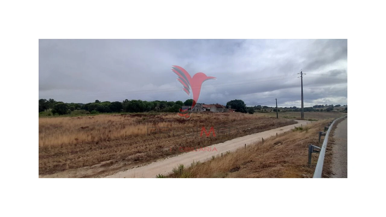 Terreno para Venda em Aveiras de Cima Foto 10