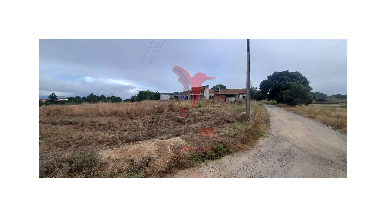 Terreno para Venda em Aveiras de Cima Foto 20