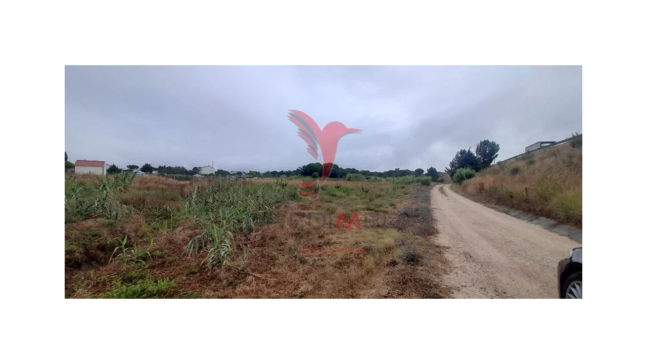 Terreno para Venda em Aveiras de Cima Foto 18