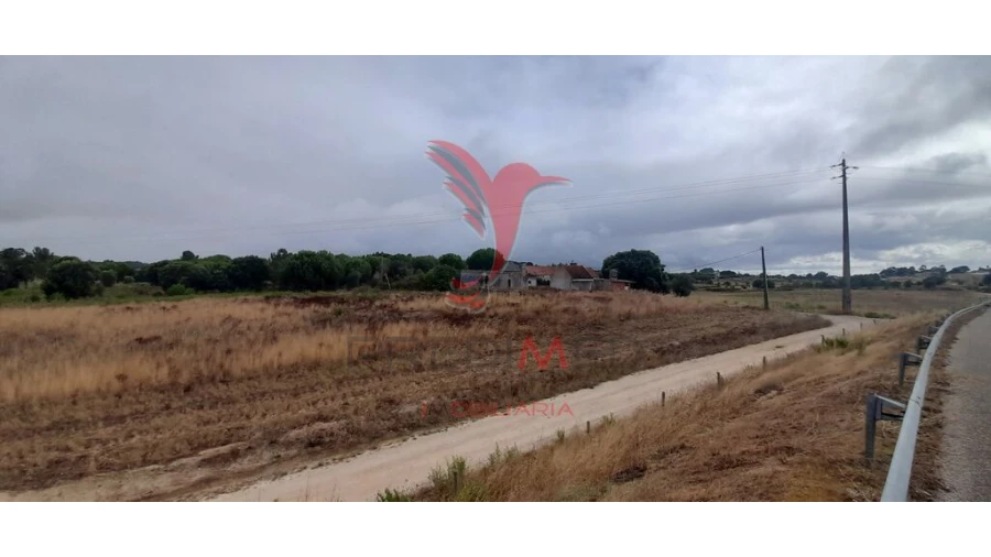 Terreno para Venda em Aveiras de Cima Foto 10