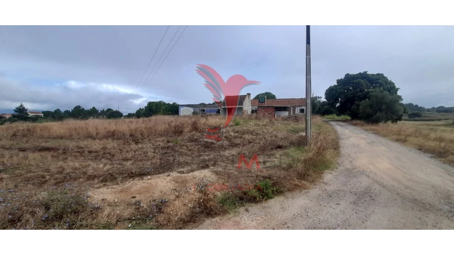 Terreno para Venda em Aveiras de Cima Foto 20