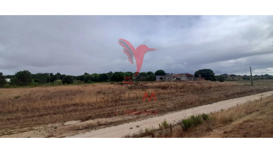 Terreno para Venda em Aveiras de Cima Foto 9