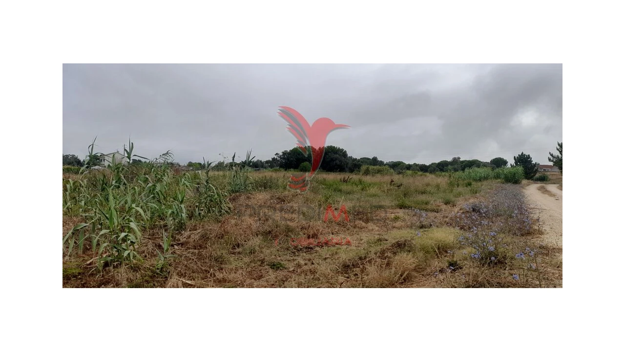 Terreno para Venda em Aveiras de Cima Foto 1