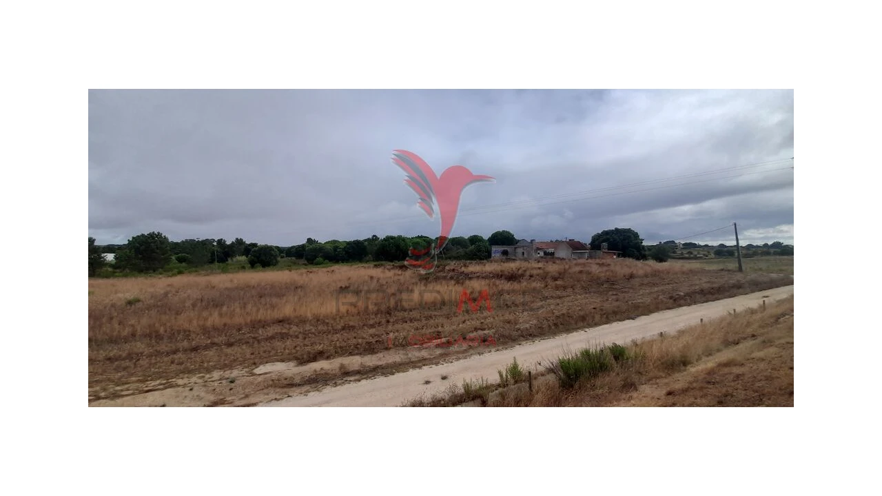 Terreno para Venda em Aveiras de Cima Foto 9