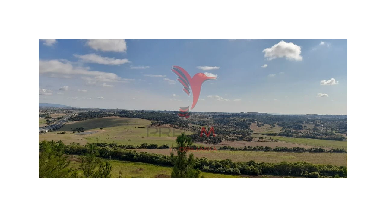 Terreno para Venda em Almoster Foto 3