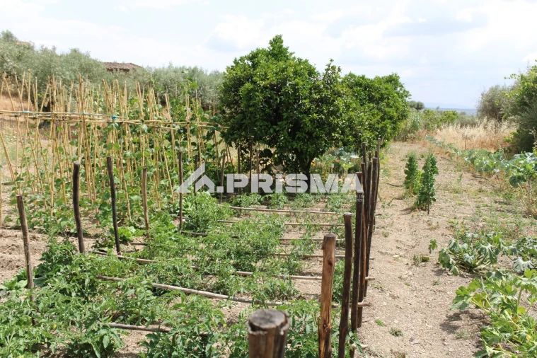 Moradia T5 para Venda em Malpica do Tejo Foto 14