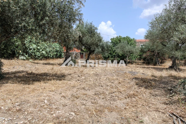 Moradia T5 para Venda em Malpica do Tejo Foto 15