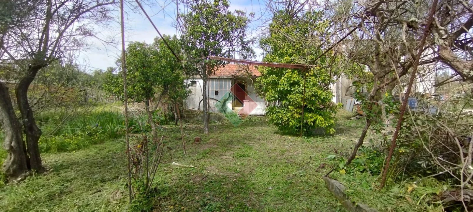 Quinta T2 para Venda em Ponte de Sor, Tramaga e Vale de Açor Foto 1