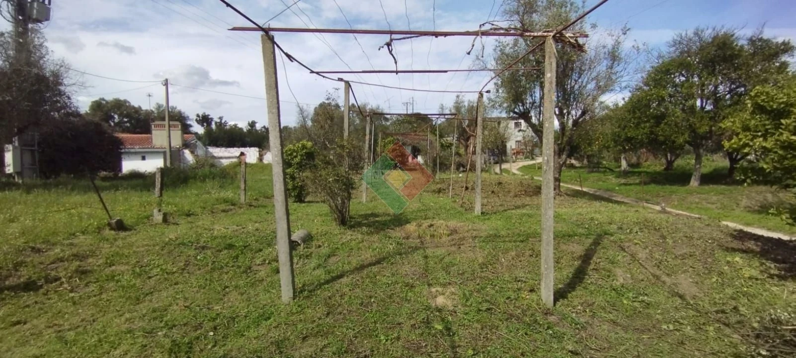 Quinta T2 para Venda em Ponte de Sor, Tramaga e Vale de Açor Foto 5