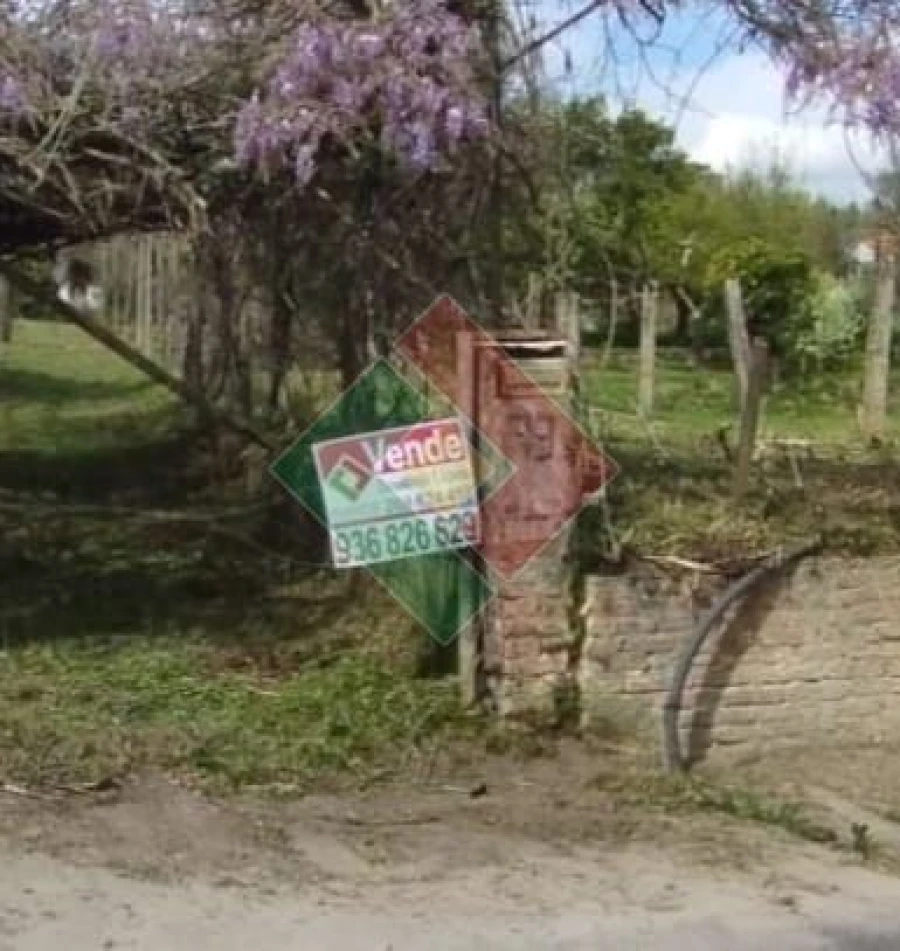 Quinta T2 para Venda em Ponte de Sor, Tramaga e Vale de Açor Foto 3