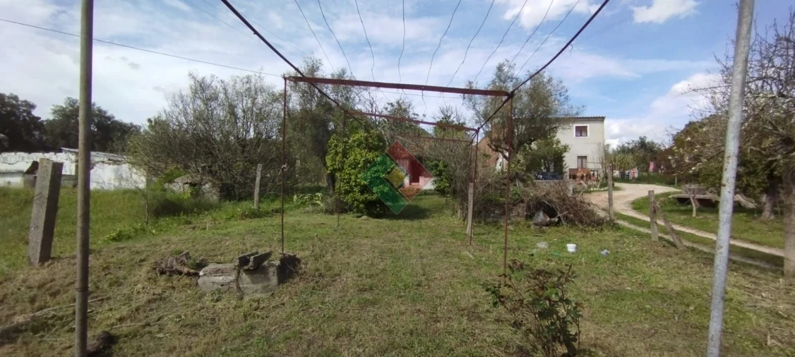 Quinta T2 para Venda em Ponte de Sor, Tramaga e Vale de Açor Foto 4