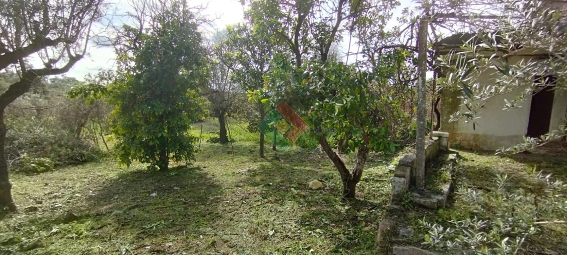 Quinta T2 para Venda em Ponte de Sor, Tramaga e Vale de Açor Foto 8