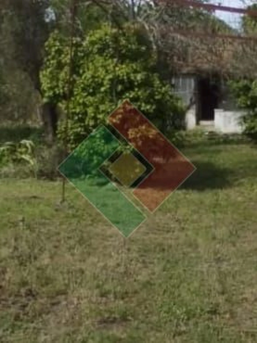 Quinta T2 para Venda em Ponte de Sor, Tramaga e Vale de Açor Foto 9