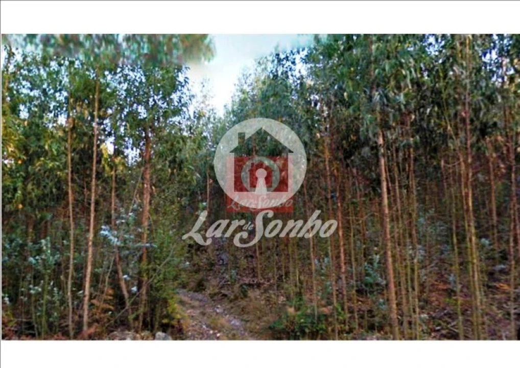 Terreno Agricola ou Rústico para Venda em Fornelo e Vairão Foto 1
