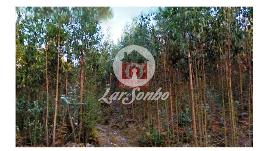 Terreno Agricola ou Rústico para Venda em Fornelo e Vairão
