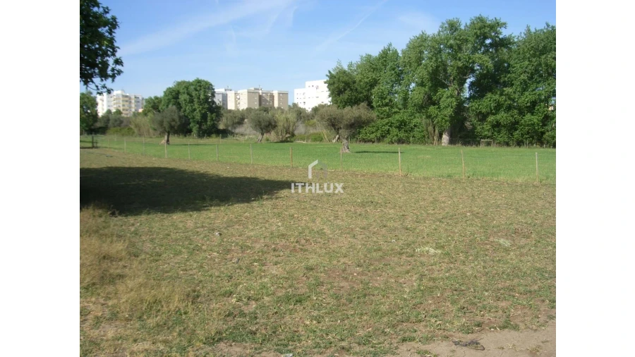 Quinta T1 para Venda em Assunção, Ajuda, Salvador e Santo Ildefonso Foto 11