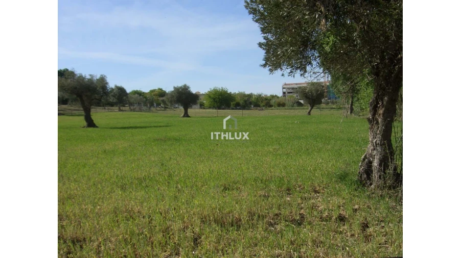 Quinta T1 para Venda em Assunção, Ajuda, Salvador e Santo Ildefonso Foto 9